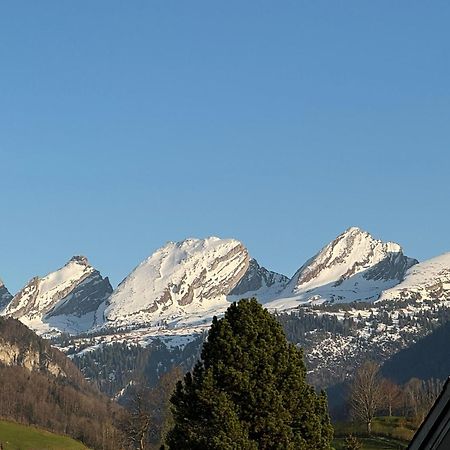 Zwinglis Ferienwohnung Nesslau 外观 照片