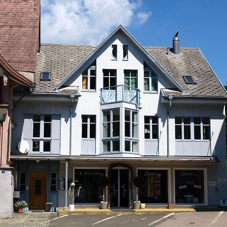 Zwinglis Ferienwohnung Nesslau 外观 照片