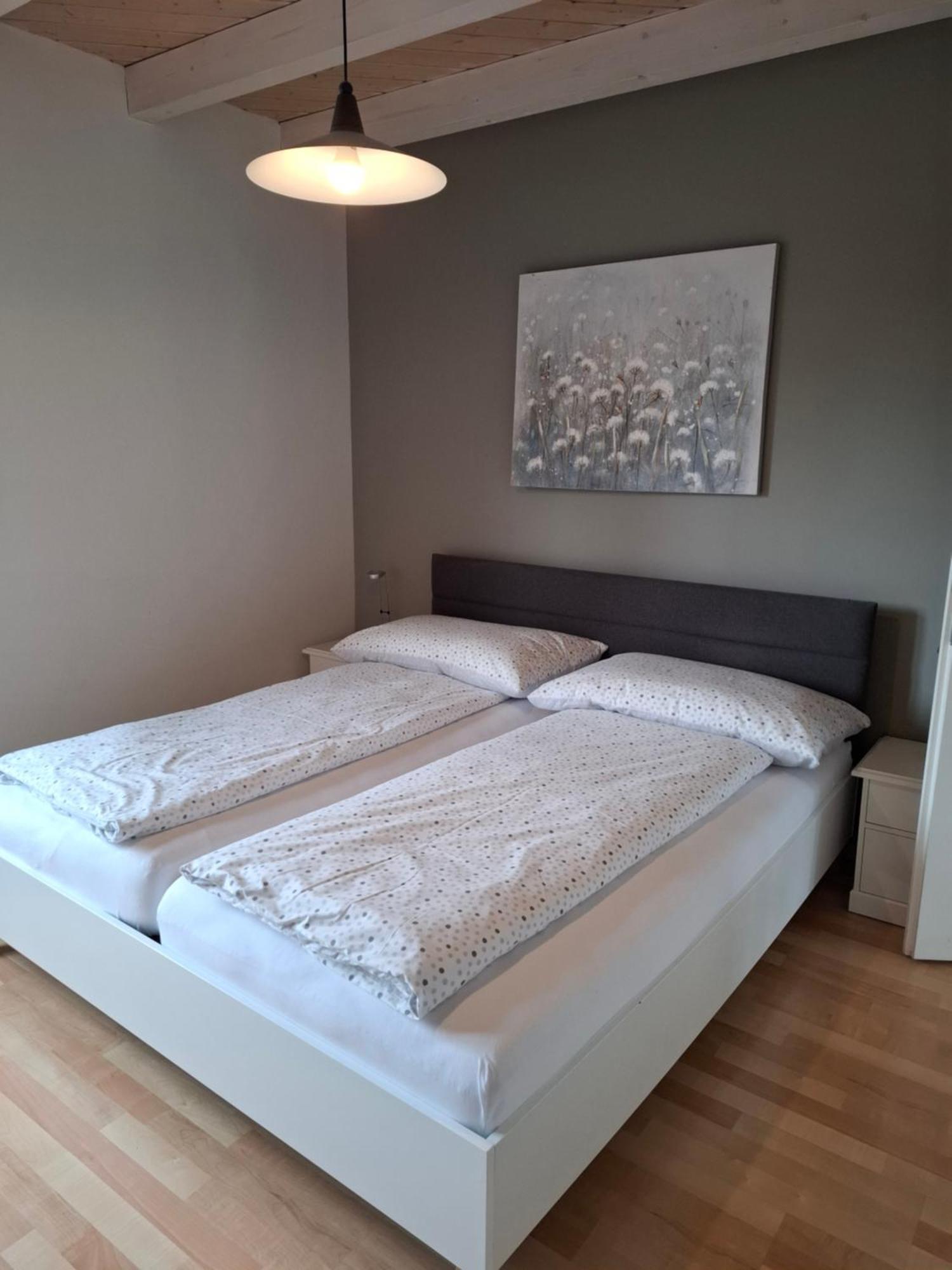 Zwinglis Ferienwohnung Nesslau 外观 照片